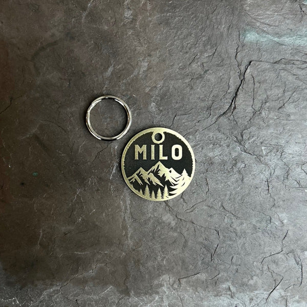 Brass pet ID tag