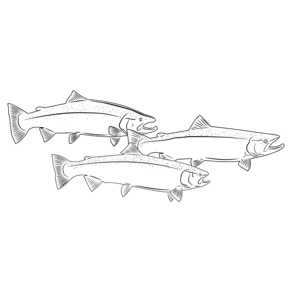 Steelhead Full Wrap Tumbler