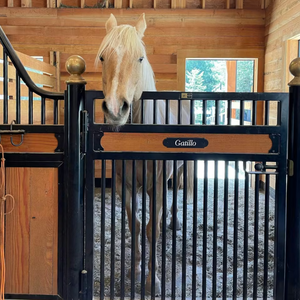 The Classic Horse Stall Sign
