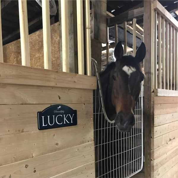 Horse Stall Name Plate - The Standard XL shown on a stall door.