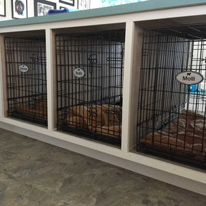 Pet Name Plate - Precisioncraft Laser