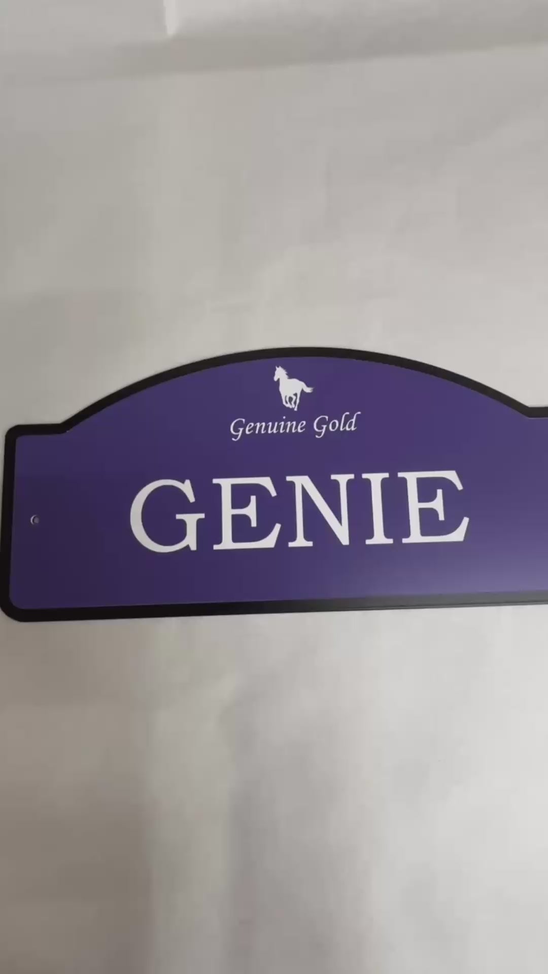 Standard Large horse name plate