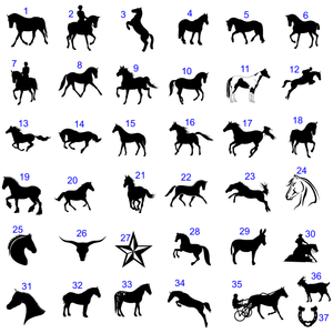 The Standard Horse Name Plate Jumbo Sized - Precisioncraft Laser